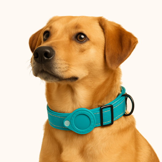 Air Tag Dog Collar