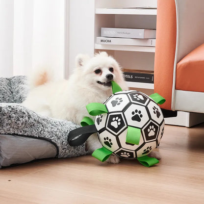 Interactive Dog Football