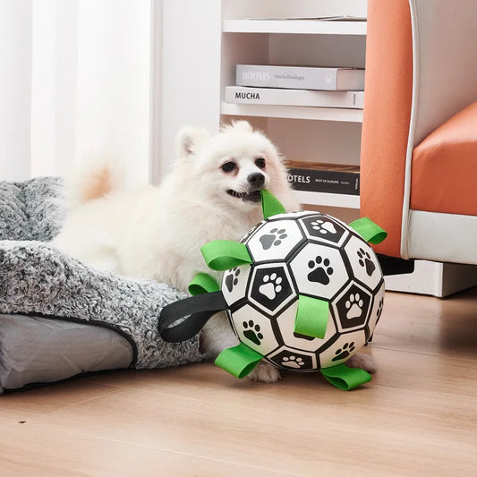 Interactive Dog Football