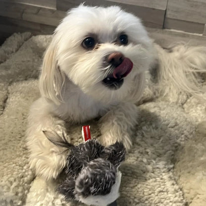 Emotional Support Toy