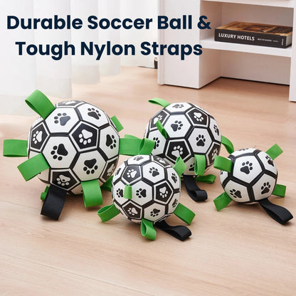 Interactive Dog Football