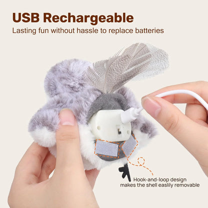 Emotional Support Toy