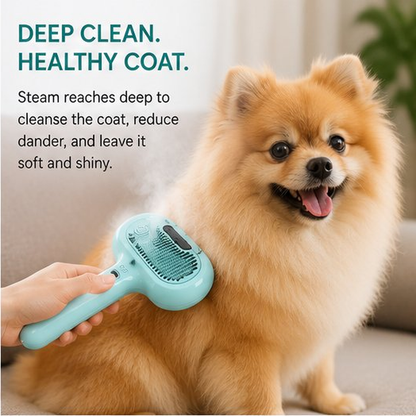Pet Hair Steam Brush