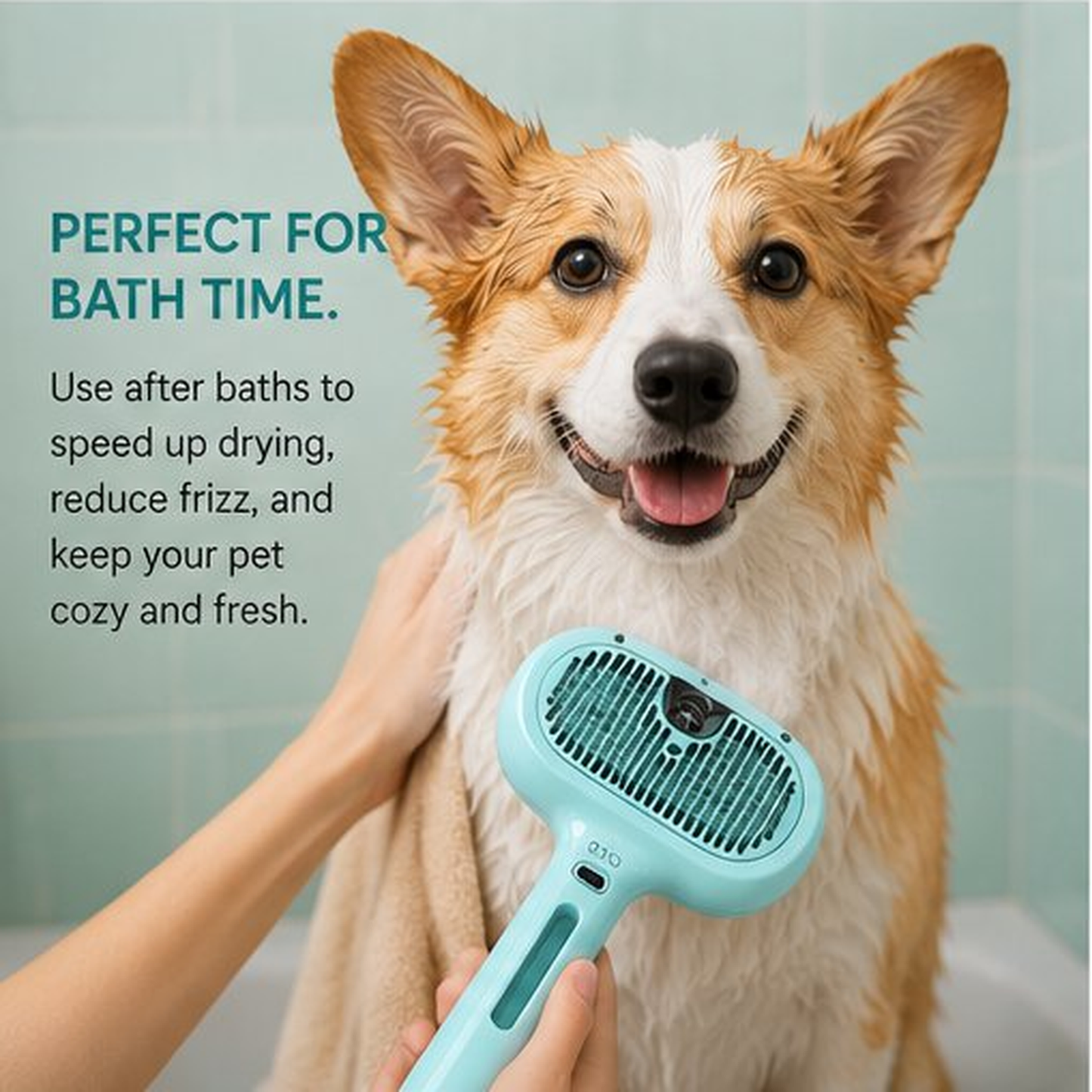 Pet Hair Steam Brush