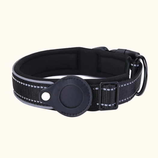 Air Tag Dog Collar