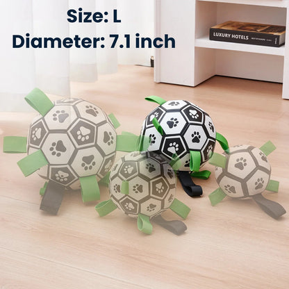 Interactive Dog Football