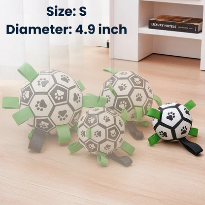 Interactive Dog Football