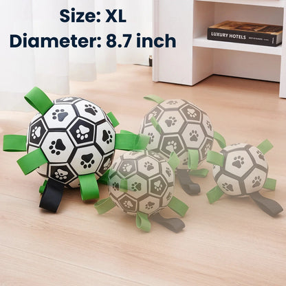Interactive Dog Football