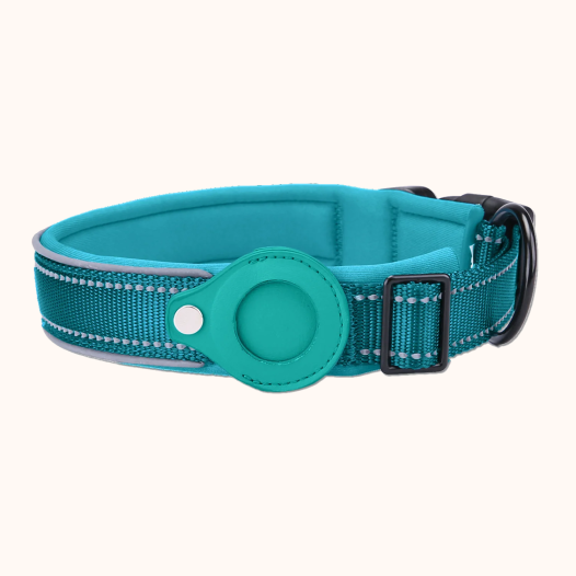 Air Tag Dog Collar