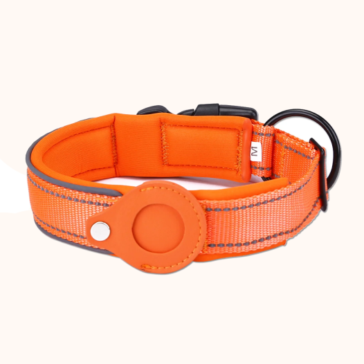 Air Tag Dog Collar